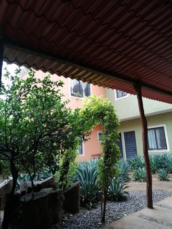Готель Tu Casa Oaxaca... Екстер'єр фото