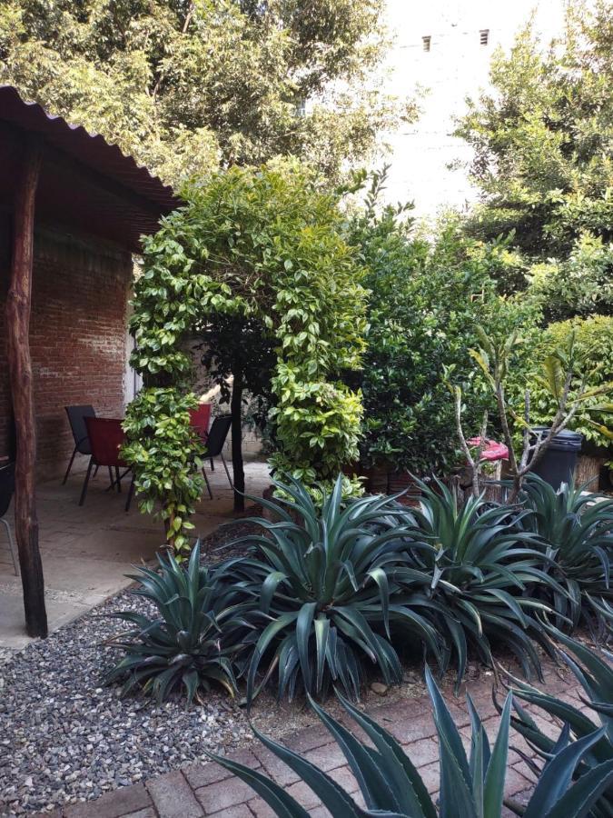 Готель Tu Casa Oaxaca... Екстер'єр фото