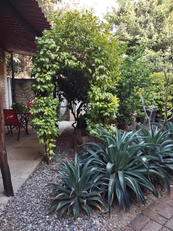 Готель Tu Casa Oaxaca... Екстер'єр фото