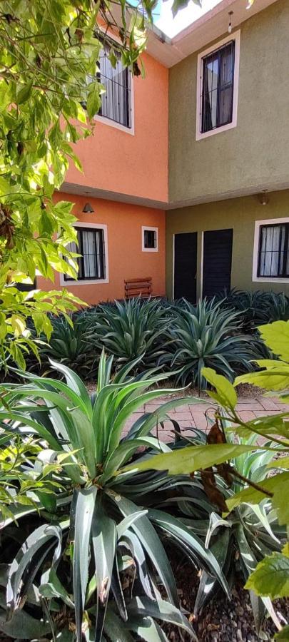 Готель Tu Casa Oaxaca... Екстер'єр фото